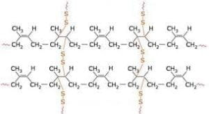 cross-linked molecules